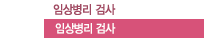 ӻ󺴸 ˻